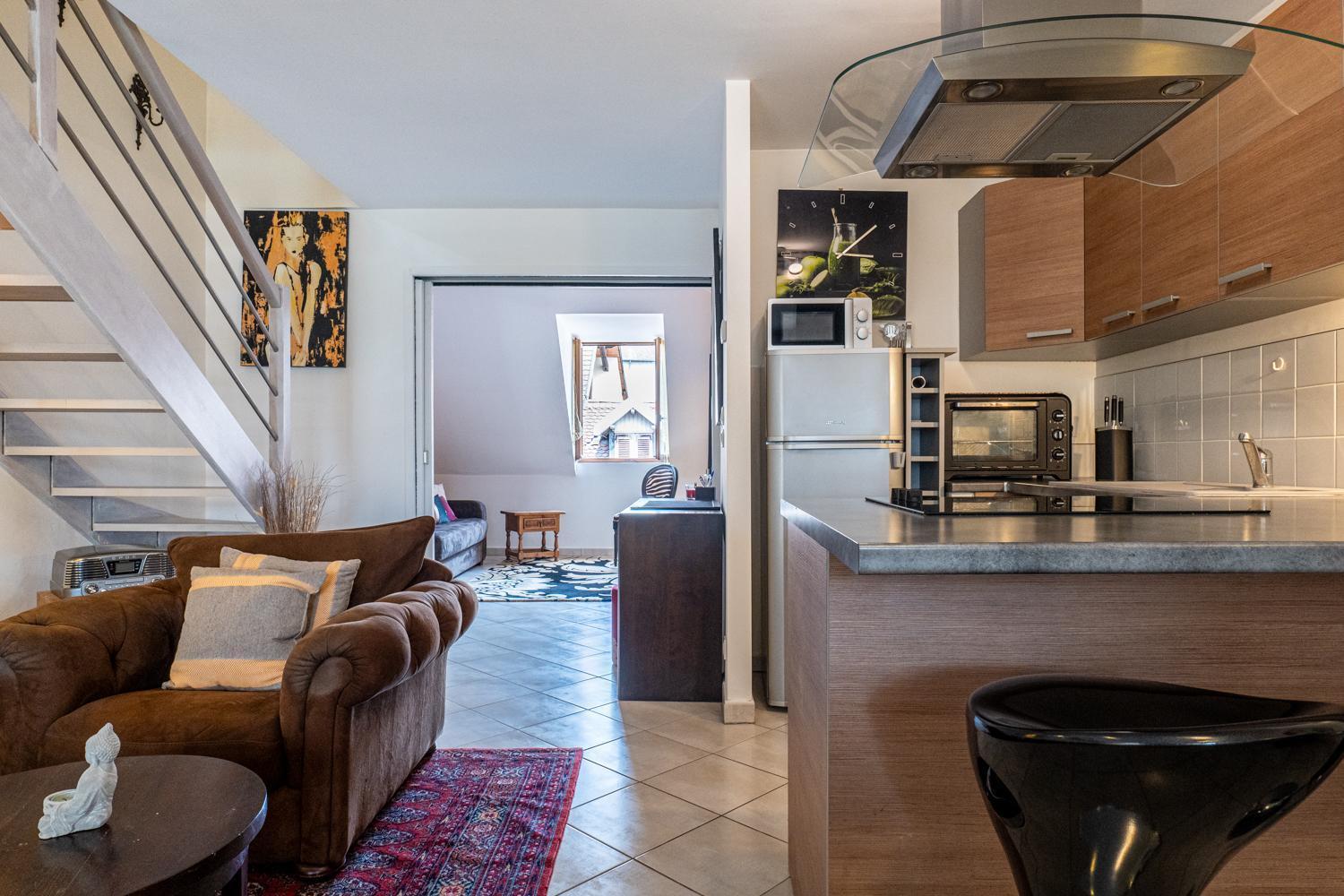 Carnot Duplex, Spacieux 3 Pieces Avec 2 Chambres Sur Les Rue Pietonnes 阿讷西 外观 照片